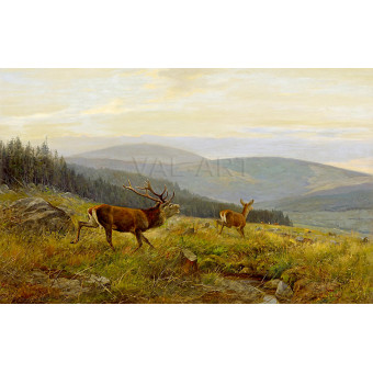 РЕПРОДУКЦИИ НА КАРТИНИ Елен на горска поляна (1895)